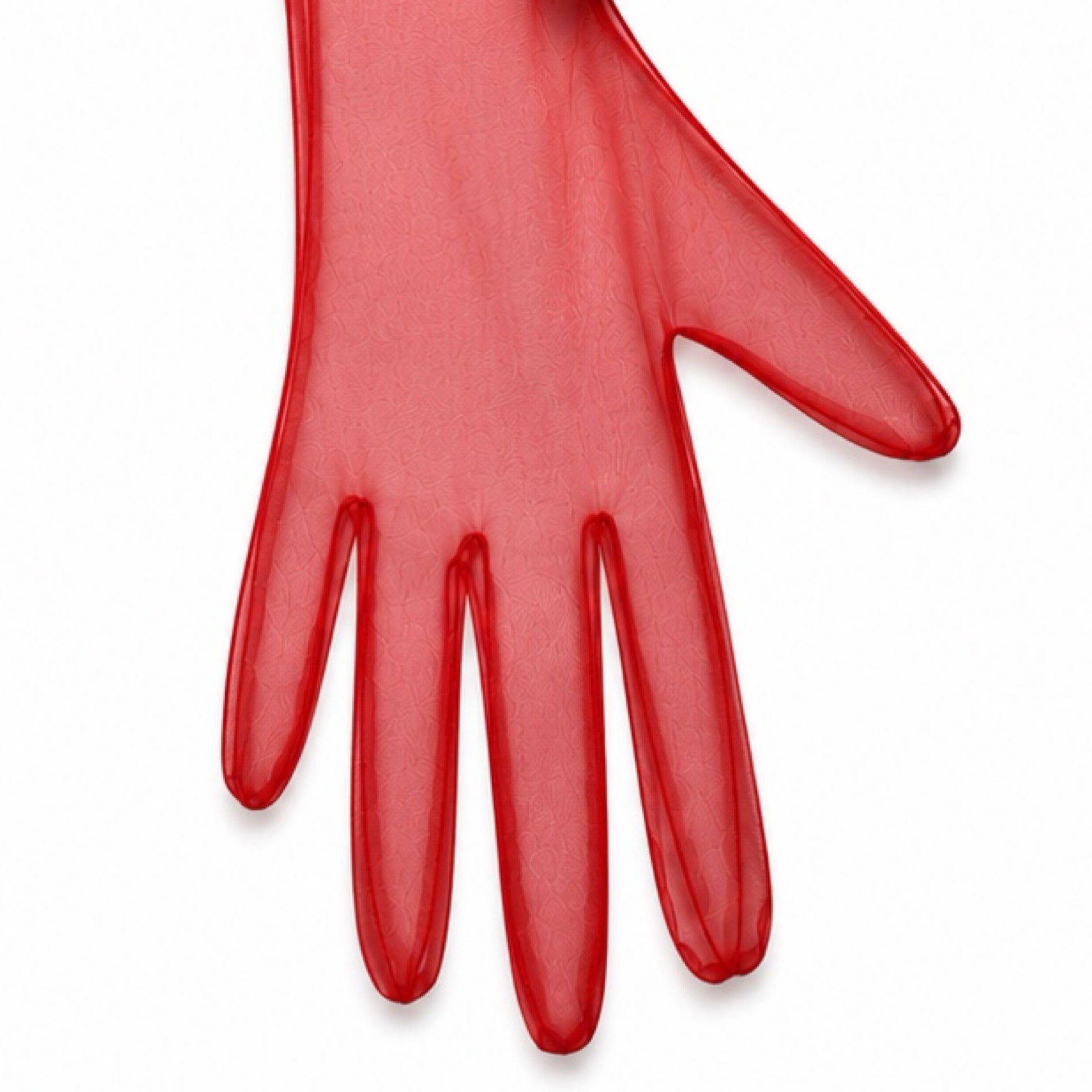 SHEER LONG GLOVES